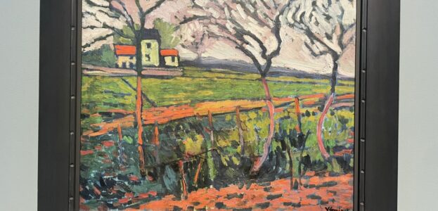 2411_vlaminck_2